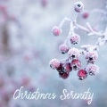 Zen Christmas、Christmas Music Lullabies、Calming Christmas Music - O Holy Night