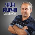 Salih Dılovan - Şirine