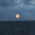 田由甲 - 海浪 夜晚 窃窃私语