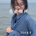 DJ小星星 - 解压运动曲