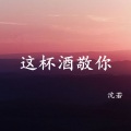 沈若 - 这杯酒敬你