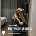 圈妹、小可、苏可可 - 酒吧节奏女唱