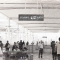 邹若峰 - 汝南