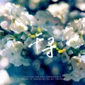 锦弈 - 千寻