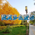 米米 - 怎么了