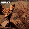 Interpol - The Heinrich Maneuver (The Scientist Dub Mix)