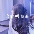 张小磊 - 遗憾也值得 (DJ版)