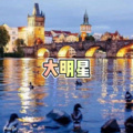 大明星