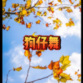 奈尔 - 我们已不同