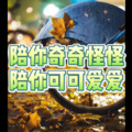 瓶瓶 - 最后我们没有在一起