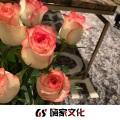 周森 - 那个石家庄人 (女吉他版)