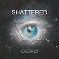 Cedric - Ancient Woods