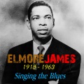 Elmore James - I Done Something