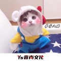 花麻麻、寐加岛、小可、小奶瓶 - 巴比伦河 (DJ版)