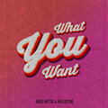 Niko Metta、Melozyne - What You Want