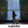 纹歌 - 路边的茶楼人影错落 (DJ版)