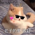 茶猪kuro - 认真的老去