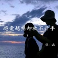 浪子心 (DJ版)