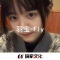 羽宝 - Chinese Twilight (Remix)