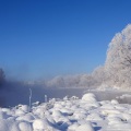 忽然下的一场雪 飘的那么纯洁