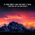 Jenny Jewel - If You Don't Like the Way I Talk (Then Why Am I on Your Mind?)(Explicit)