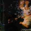 Mooncat - Natural