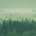 Sound Library XL、The Calming Sounds of Nature - Calm & Peace