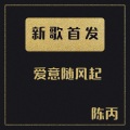陈丙 - 故事总是太短 (DJ版)