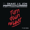DJ Snake、2 Chainz、Juicy J、Lil Jon - Turn Down for What