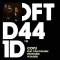 Coyu、Cari Golden - Profound Pleasure (feat. Cari Golden)(Accapella)