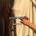 暖豪 - Shape Of You (DJ Asher Remix)