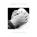 Luca Polonioli、Felipe Romero - Amor Visceral (Radio Edit)