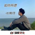 KS彬仔 - 听你呼吸里的伤 (DJ彬仔remix)