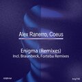 Enigma (Remixes)