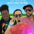 Triple Ess、Busy Signal、Luciano. - Love Is What We Need