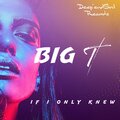 Big T - If I Only Knew (Original Mix)
