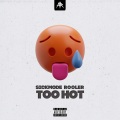 TOO HOT (Original Mix) (Explicit)