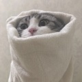 孤独 - 人生浪费指南