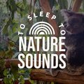 Nature Sound Collection、Natural Sounds Selections、Nature Sound Retreat - City Scape Sounds
