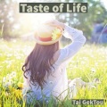 Tai GekTou - Immortal Rain Reverie