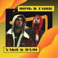 HAJO、Vako - Ночь В Танце