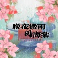 晚夜微雨问海棠 (笛子版)