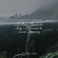 Rain and Nature、Sleeping Baby Songs、Zen Meditate - Rain Flows