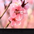 优愁的风 - 我哭了你在乎吗