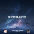 TL-TANIUM - 夜空中最亮的星 伴奏版
