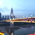 锦鲤 - 我以为