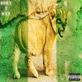 Ysm Fratboii、PR3TO - BORN 2 WIN (Explicit)