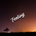 Feeling