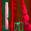 YUNG $U$HI、Xennjugo、Liam Butler、Alexander Demenew - FOURTYFOUR (Explicit)