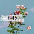 韩林夕 - 回忆中的伤